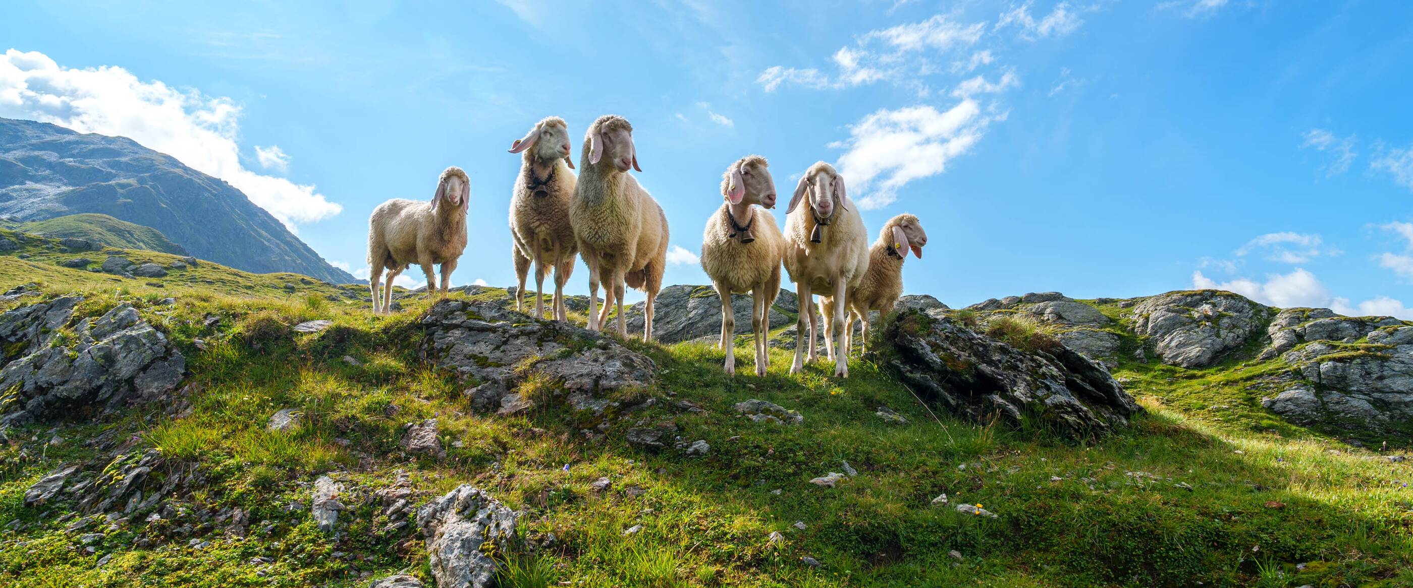 Natur Zillertal